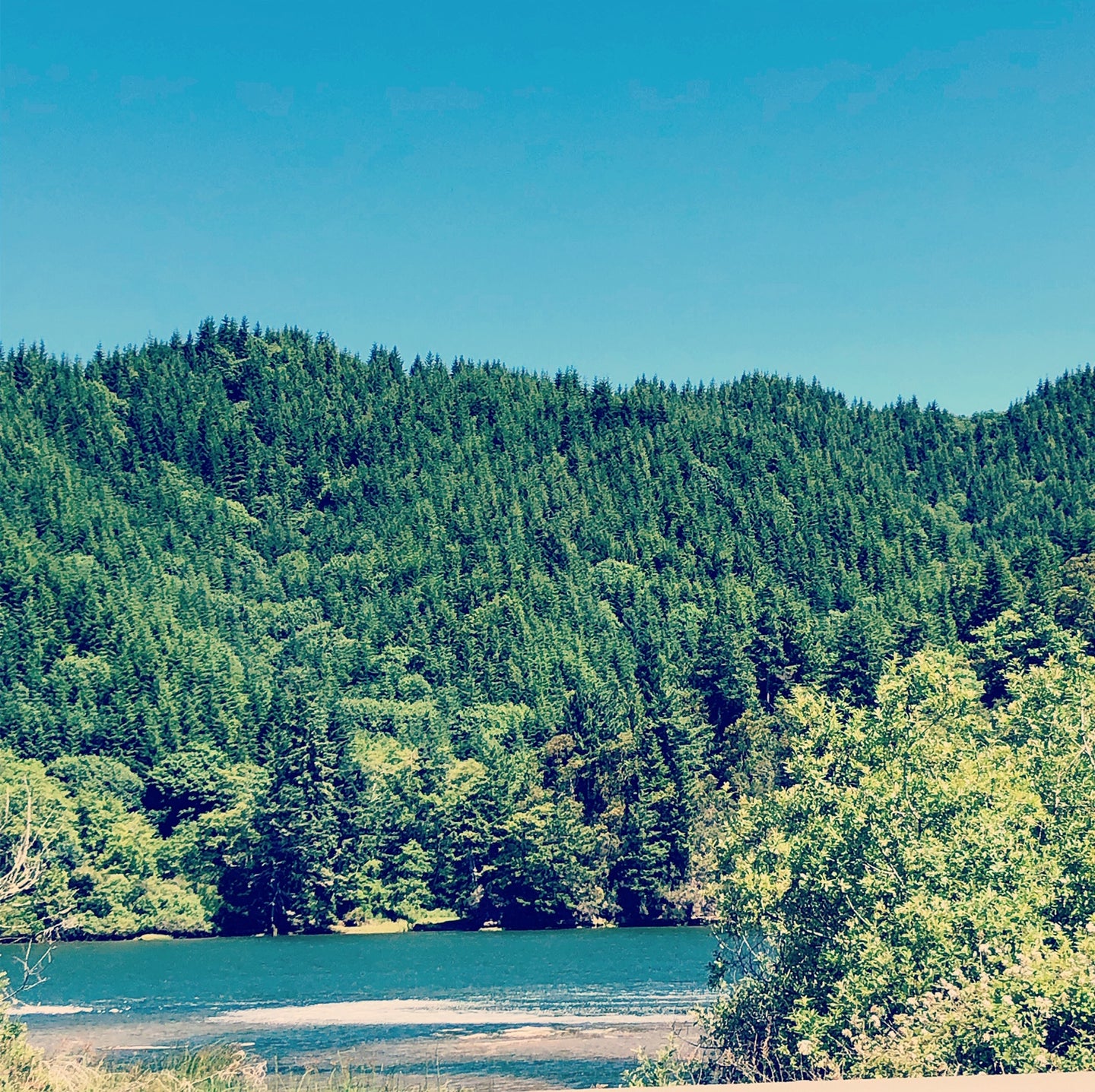 Black Friday sale on now! 35% off everything!